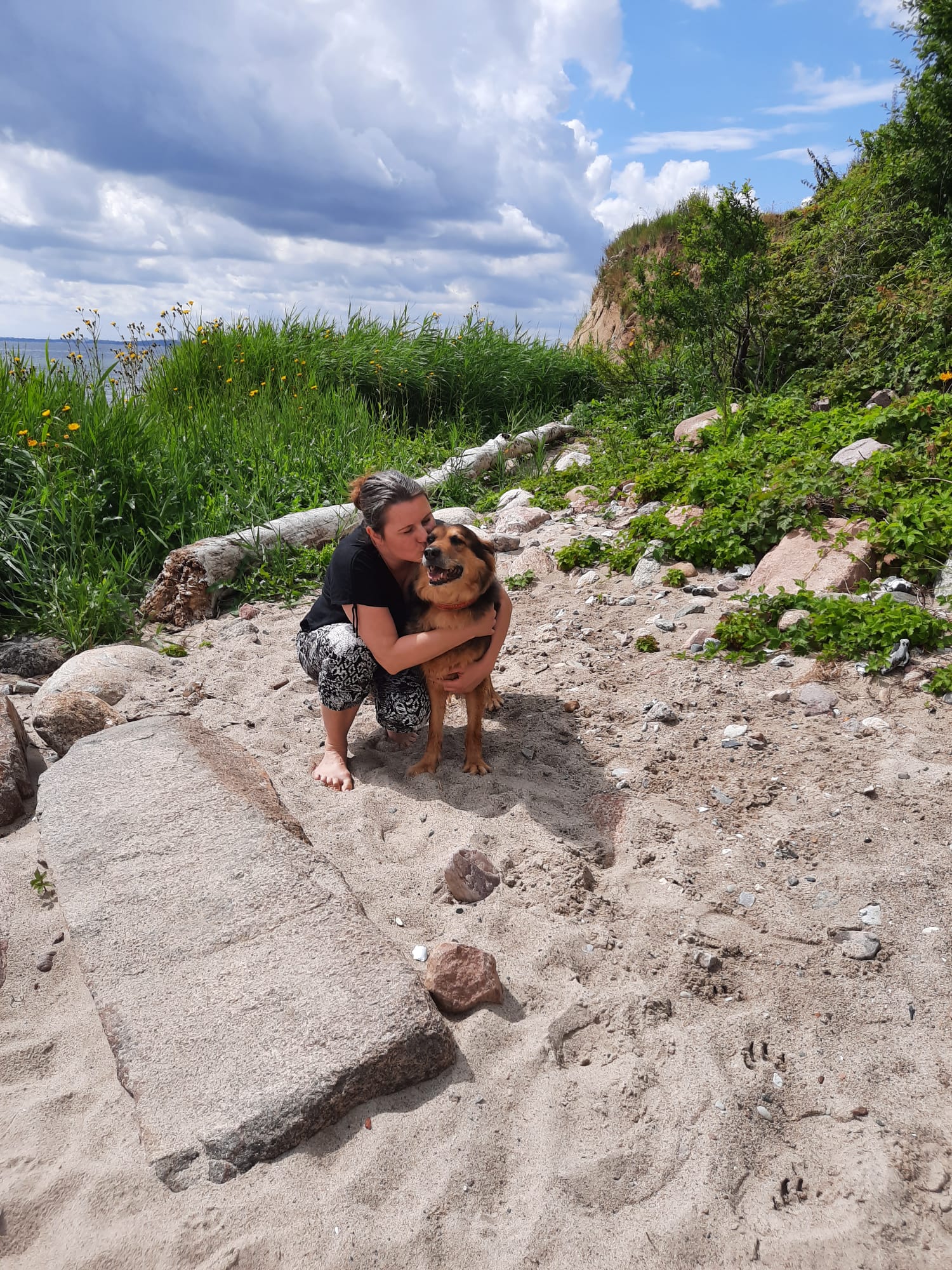 Tierheimhund